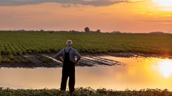 A causa delle guerre e del clima, produzione agricola giù del 35% entro il 2050